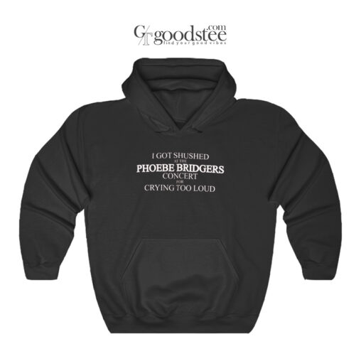 Phoebe Bridgers Concert For Crying Too Loud Hoodie